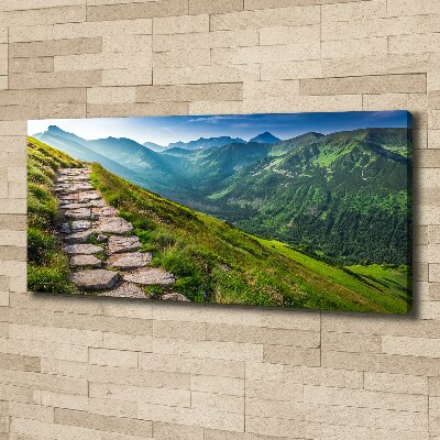 Foto canvas Wandelpad in het Tatragebergte