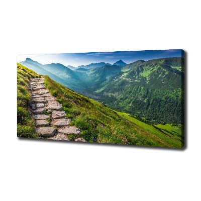 Foto canvas Wandelpad in het Tatragebergte