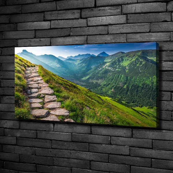 Foto canvas Wandelpad in het Tatragebergte