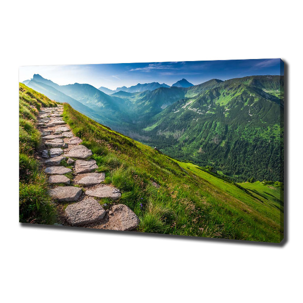 Foto canvas Wandelpad in het Tatragebergte