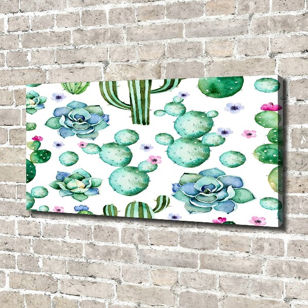 Foto canvas Cactussen