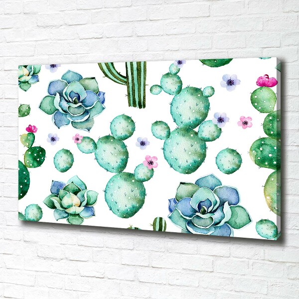 Foto obraz canvas Kaktusy
