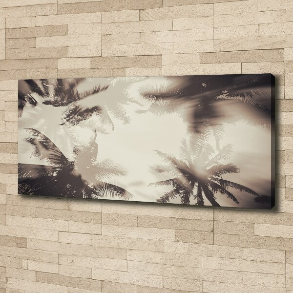 Foto canvas Palmbomen