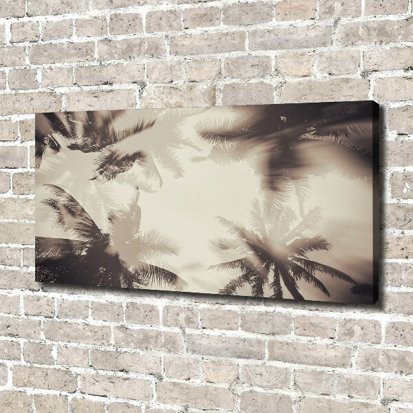 Foto canvas Palmbomen