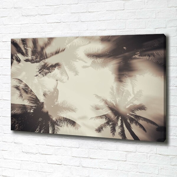 Foto canvas Palmbomen