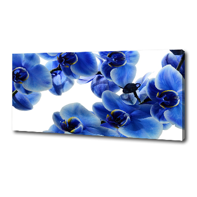 Foto op canvas Blauwe orchidee