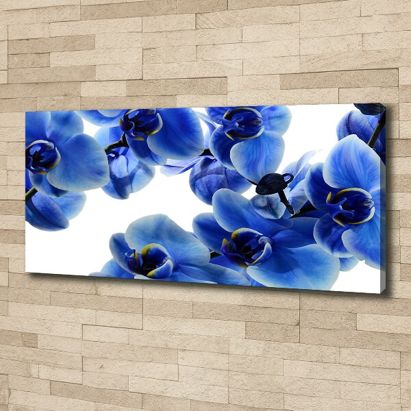 Foto op canvas Blauwe orchidee
