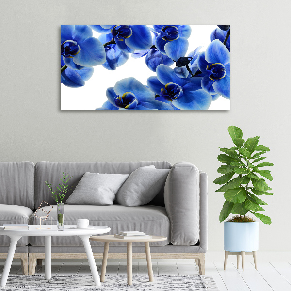 Foto op canvas Blauwe orchidee