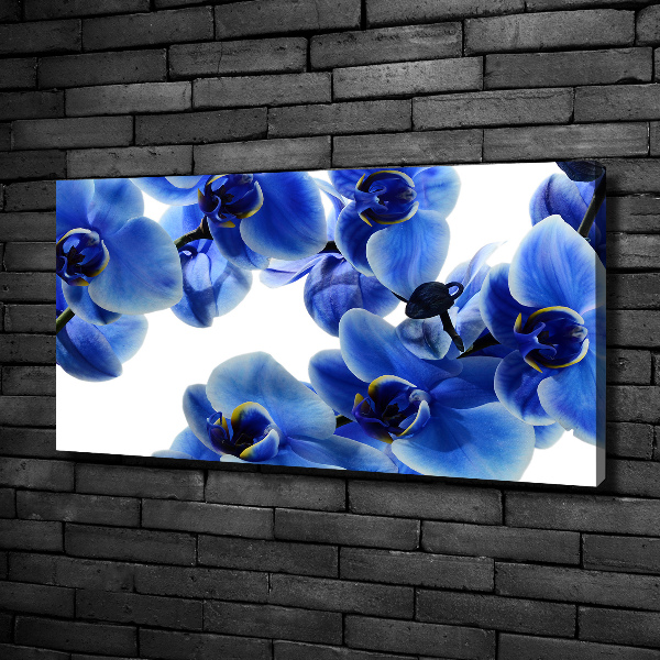 Foto op canvas Blauwe orchidee