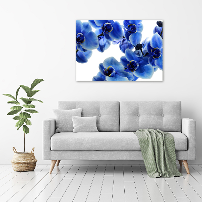 Foto op canvas Blauwe orchidee
