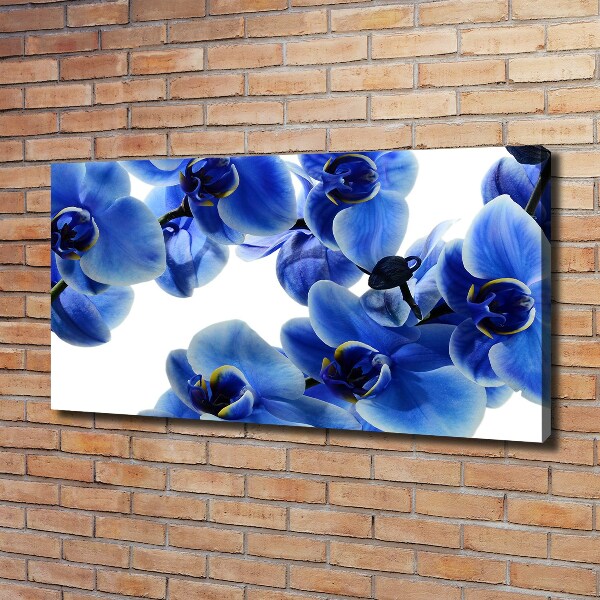 Foto op canvas Blauwe orchidee