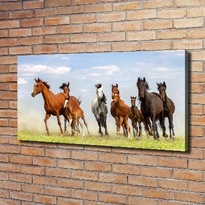 Obraz canvas do salonu Konie w galopie