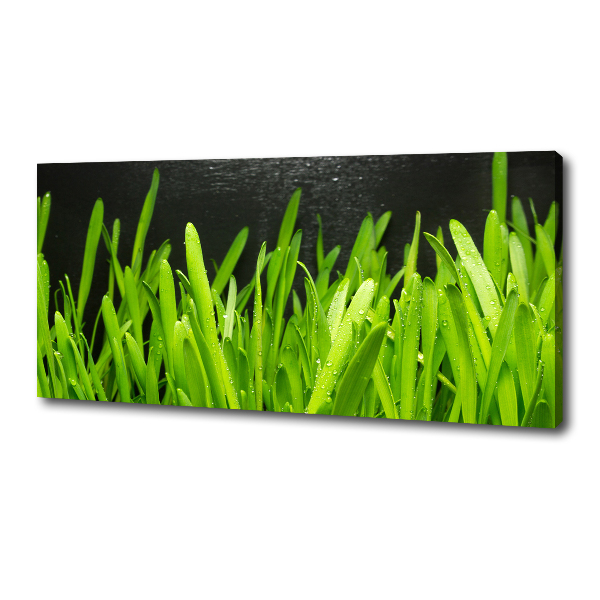 Canvas foto Gras