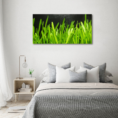 Canvas foto Gras