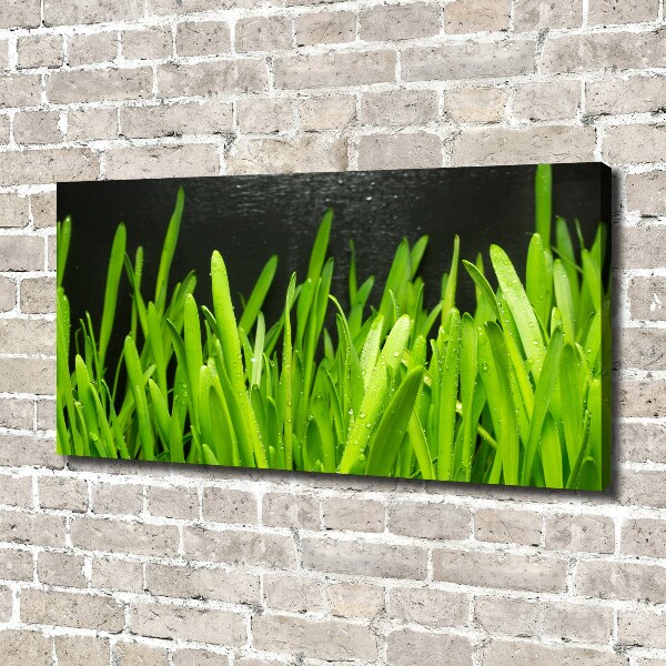 Canvas foto Gras