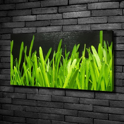 Canvas foto Gras