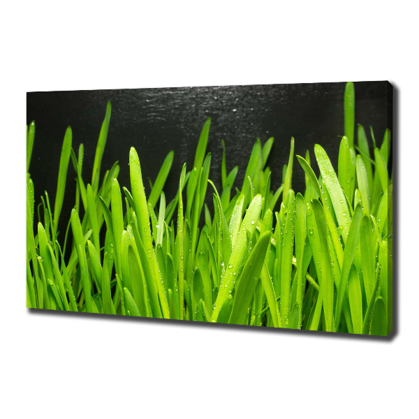 Canvas foto Gras