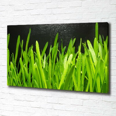 Canvas foto Gras