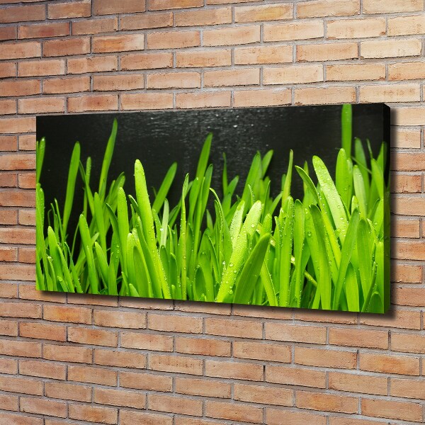 Canvas foto Gras