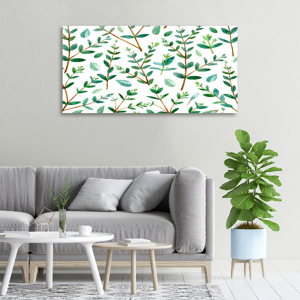 Foto canvas Eucalyptus
