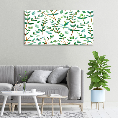 Foto canvas Eucalyptus
