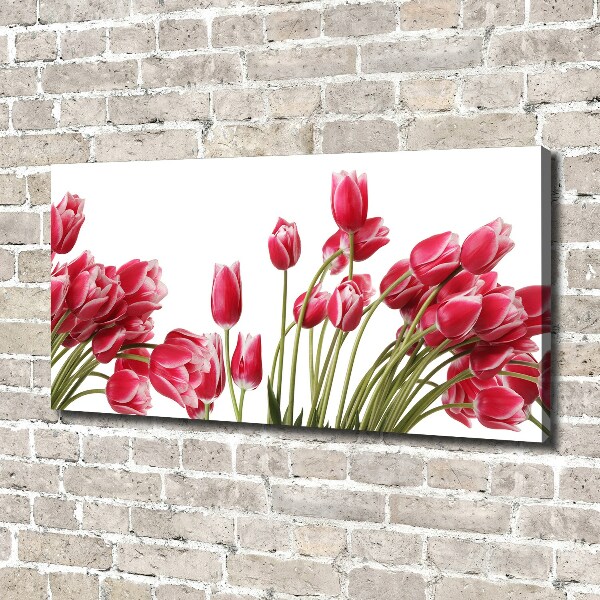 Foto canvas Rode tulpen