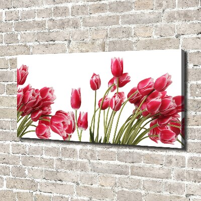 Foto canvas Rode tulpen