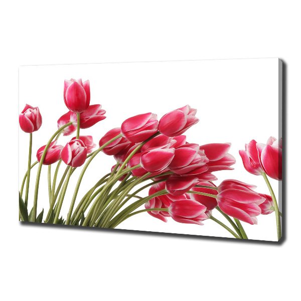Foto canvas Rode tulpen