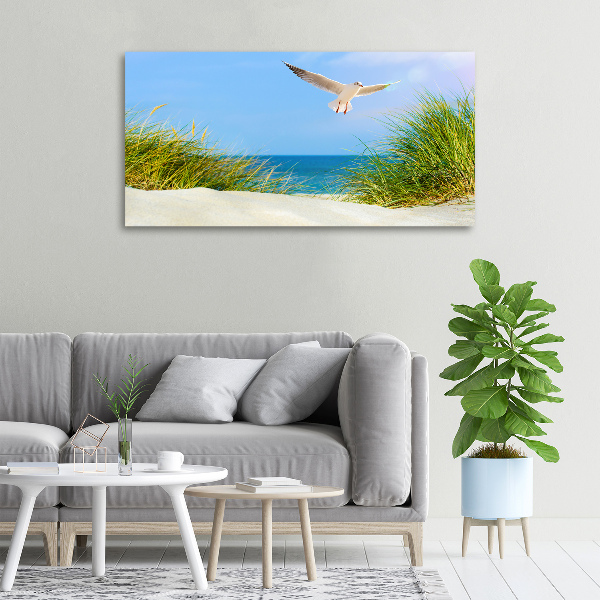 Schilderij op canvas Meeuw op het strand