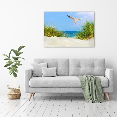 Schilderij op canvas Meeuw op het strand