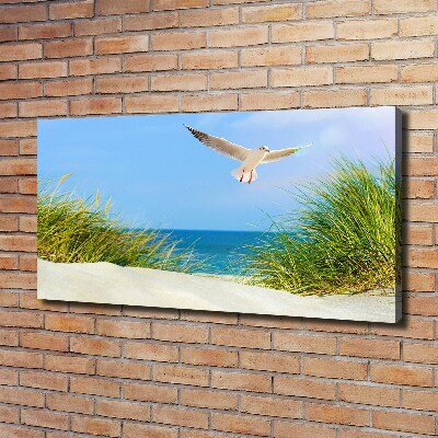 Schilderij op canvas Meeuw op het strand