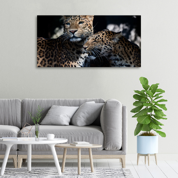 Foto op canvas Twee luipaarden