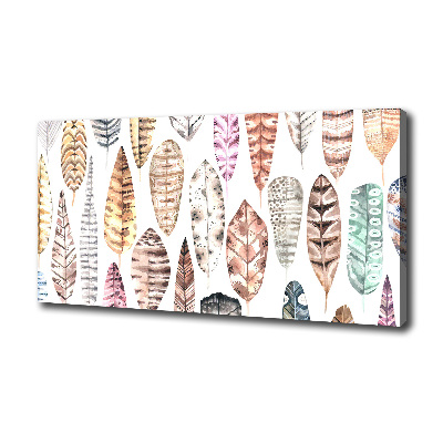 Schilderij op canvas Kleurrijke veren