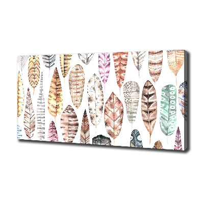 Schilderij op canvas Kleurrijke veren