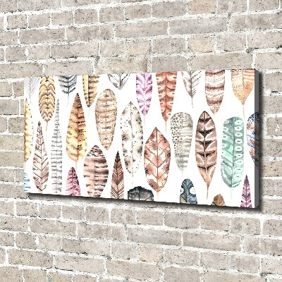 Schilderij op canvas Kleurrijke veren