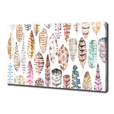 Foto obraz na płótnie Kolorowe pióra