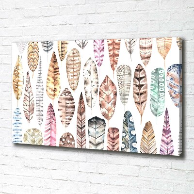 Schilderij op canvas Kleurrijke veren