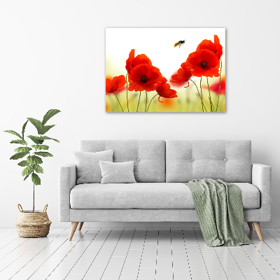 Foto op canvas Klaprozen