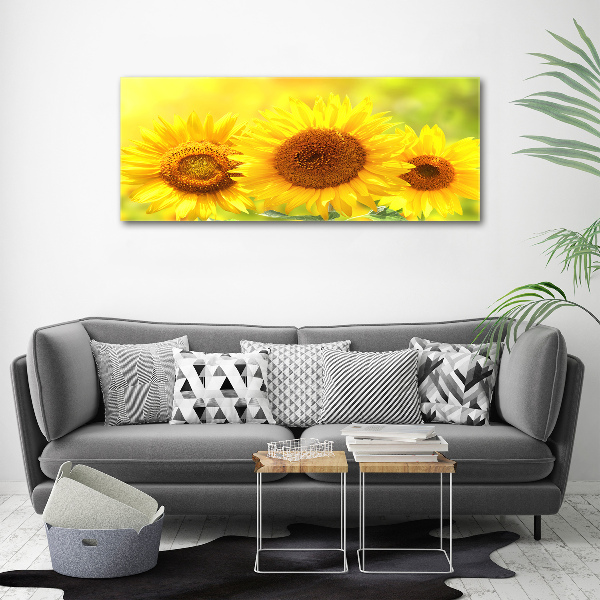 Canvas foto Zonnebloemen