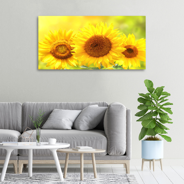 Canvas foto Zonnebloemen