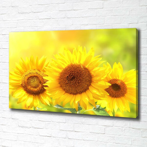 Canvas foto Zonnebloemen