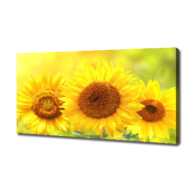 Canvas foto Zonnebloemen