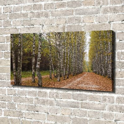 Foto op canvas Berkenlaan