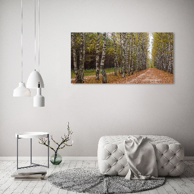 Foto op canvas Berkenlaan