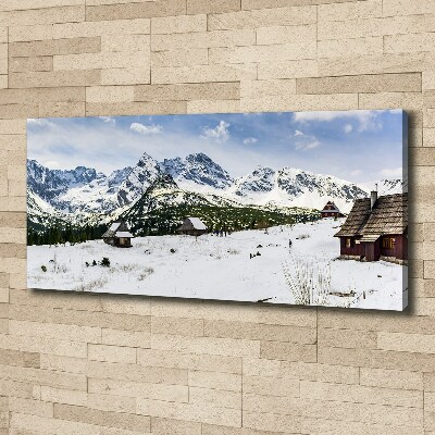 Foto obraz canvas Hale Tatry