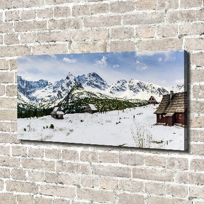 Foto obraz canvas Hale Tatry