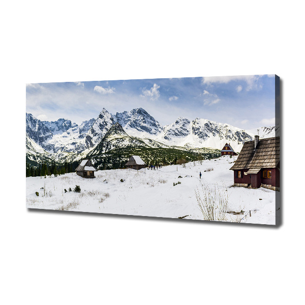 Foto obraz canvas Hale Tatry