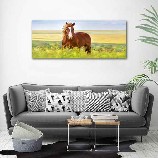Foto canvas Bruin paard