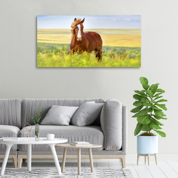 Foto canvas Bruin paard