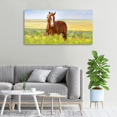 Foto canvas Bruin paard